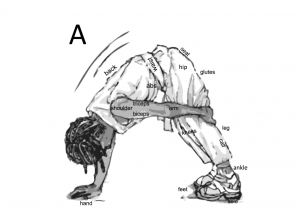 Alphabet Fit - Diagrampng